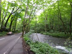 奥入瀬渓流は車道のすぐそばを、車道と同じ高さで流れる。
