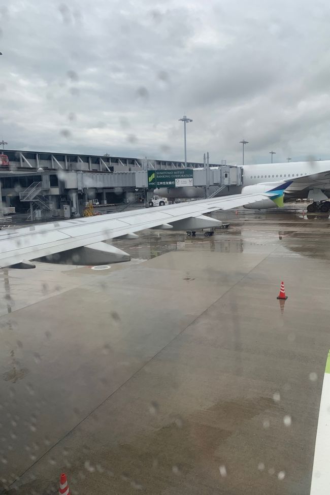 いよいよ出発～<br />こちらは雨・・・（大阪）