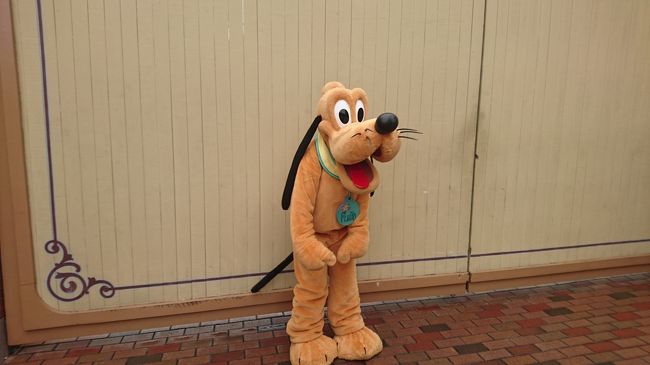 プルートもそのドアの前で撮影。<br />ポーズが可愛い。