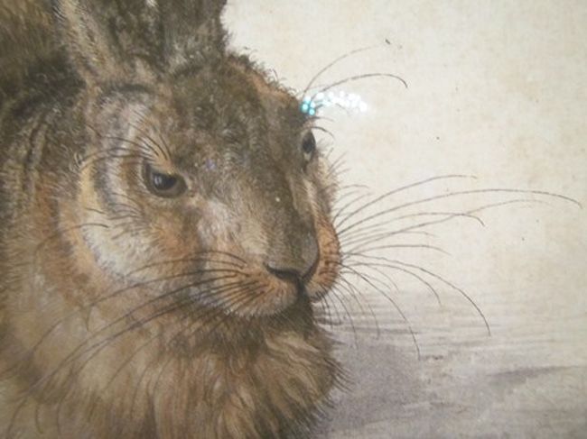 ２０１９ウィーン再訪 旅の円舞曲 オペラ座とアルベルティーナ版画素描館 ウィーン オーストリア の旅行記 ブログ By ヘラヤガラさん フォートラベル