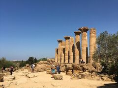 遠くに見えたヘラクレス神殿に到着です。
紀元前520年ごろに建てられたと言われるこの地域で最古の神殿。
