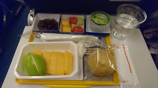 荷物を預けてからは中でGODのショップを見て、スタバでコーヒーを飲み、後はゲートでだらだら。<br /><br />機内で1時間程眠り、しばらくして機内食。<br />フルーツミールにしておきました♪