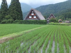 同じような風景ですが、場所を移して白川郷。
街の中心から5分ほど歩きますが、
合掌造の建物が並ぶフォトスポットへ。