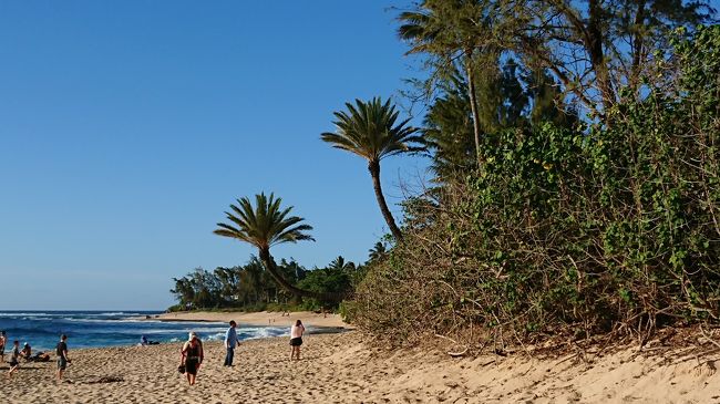 サンセットビーチ<br /><br />ハレイワの女の子バージョンの看板は<br />電線が映り込んでしまうので人気薄で<br />スルーだそうです（笑）