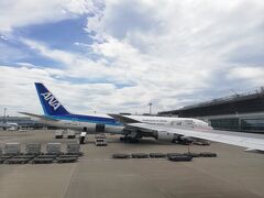 【1回目】5/28　
いつもは赤色の航空会社なのですが、突然青色にも乗ってみようという事になり、ANAに搭乗しました。