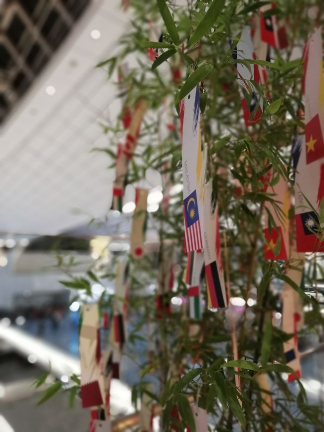 最寄駅からリムジンバスで羽田空港へ。<br />七夕装飾には、国旗の短冊が♪
