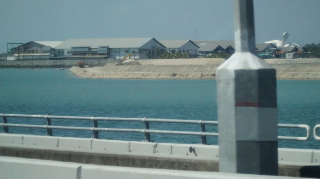 もうすでに綺麗！