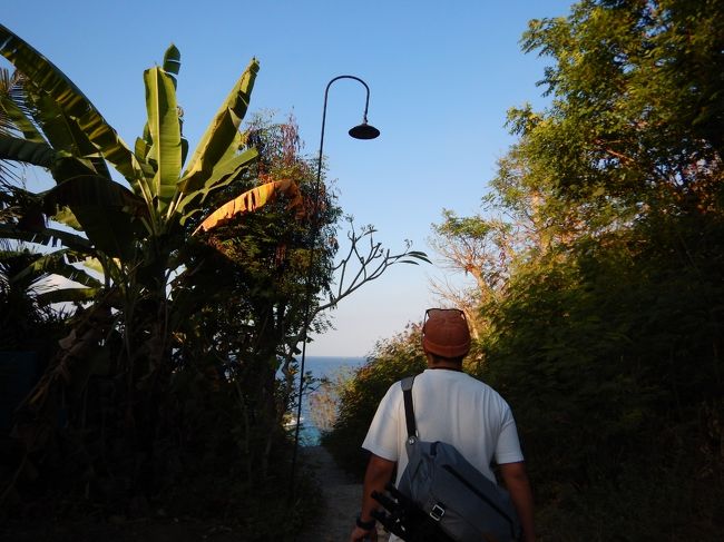 登って行くと、下りの階段が。