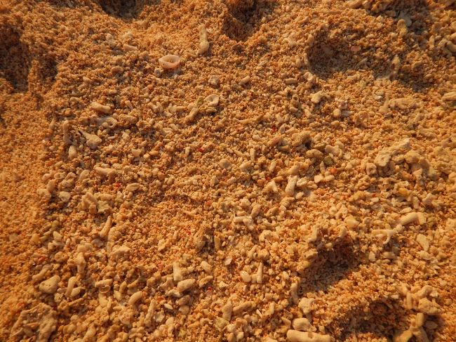 白いビーチも赤く染まり