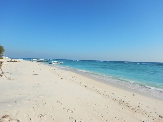 朝食の後、もう少し北側までお散歩。