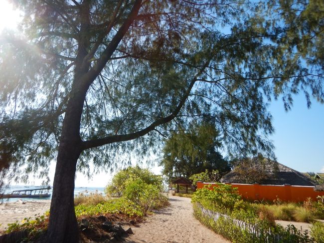 ある程度歩いて、また来た道を戻ります。