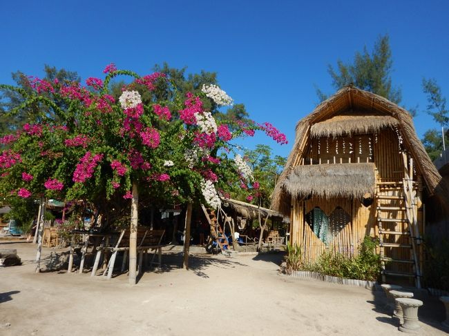 朝海に出た所でした。<br />ホテルも可愛い♪