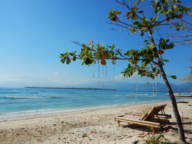 至るところに貝殻の飾り。