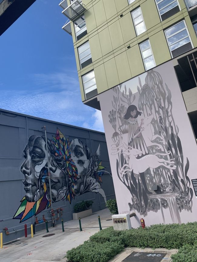 その後カカアコ地区にきてウォールアートを車上から見ました。<br />ツアー申し込みページにはカカアコ地区を回るとは出てなかったのでびっくり。<br />と言うのも、午後からカカアコ地区を回るツアーを入れていたからです。<br />