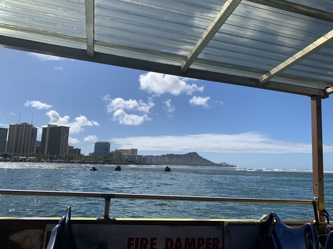 海に出ました。入水からを動画に撮っていたのですが、写真はナシ！<br />いろんな場面で動画を撮っていて、今回の旅行記にアップするつもりでしたが、４トラに動画をアップするにはYouTubeに自分のチャンネルを作成してからのようで、時間もなく今回は写真のみとしました(＞＜)