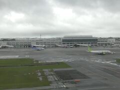 沖縄の那覇空港に午後４時３０分に到着。台風の影響か曇り気味。