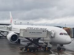 大好きなJAL。
これに乗ります。