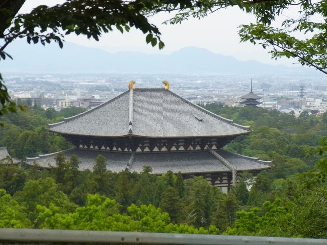 少し走ったところにビューポイントがあって、東大寺大仏殿が見えました。<br /><br />