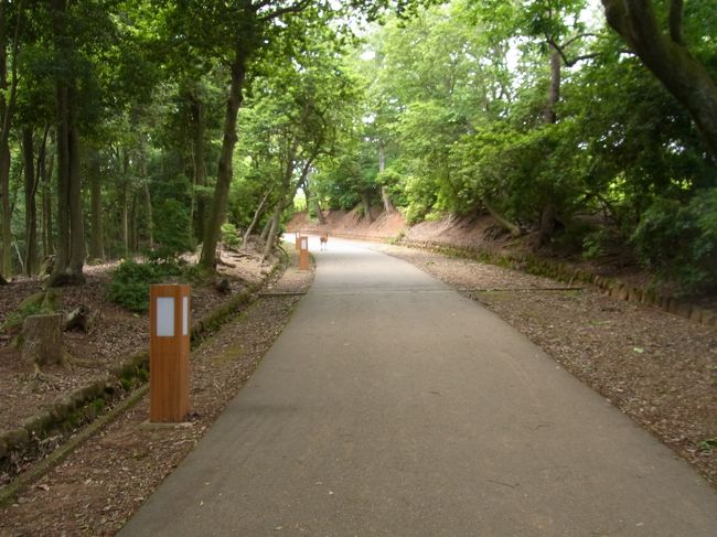 歩いていると二匹のまだ小さい鹿が、左の茂みと歩道を行ったり来たり。<br />