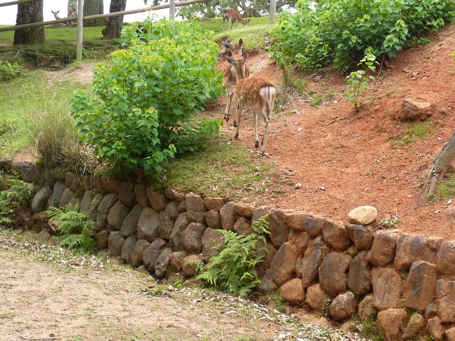 あ、すいません人間はそこはムリ。