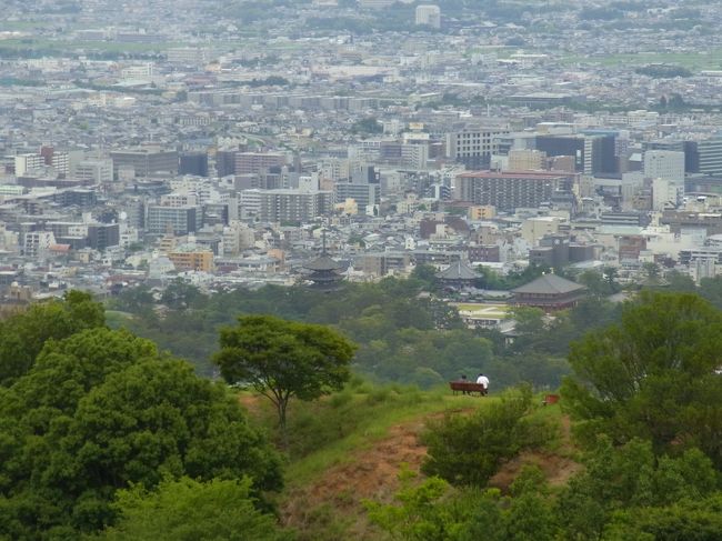 五重塔や東大寺大仏殿が見えます。<br /><br />山の真ん中にベンチがポツンとありましたが、どうやって行くんだろう。