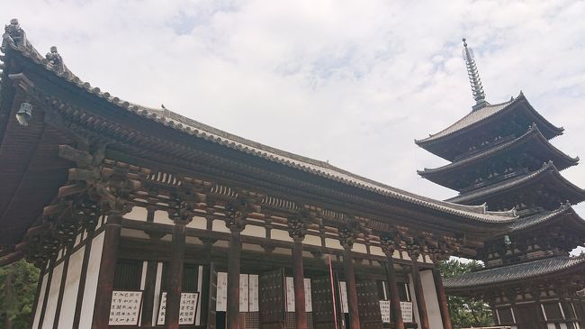 奈良公園から興福寺まで歩いてきました。<br />東金堂おまいりします。700円でした。<br /><br />重要文化財や国宝の銅造薬師三尊像や日光菩薩像・月光菩薩像等々がいらっしゃいます。