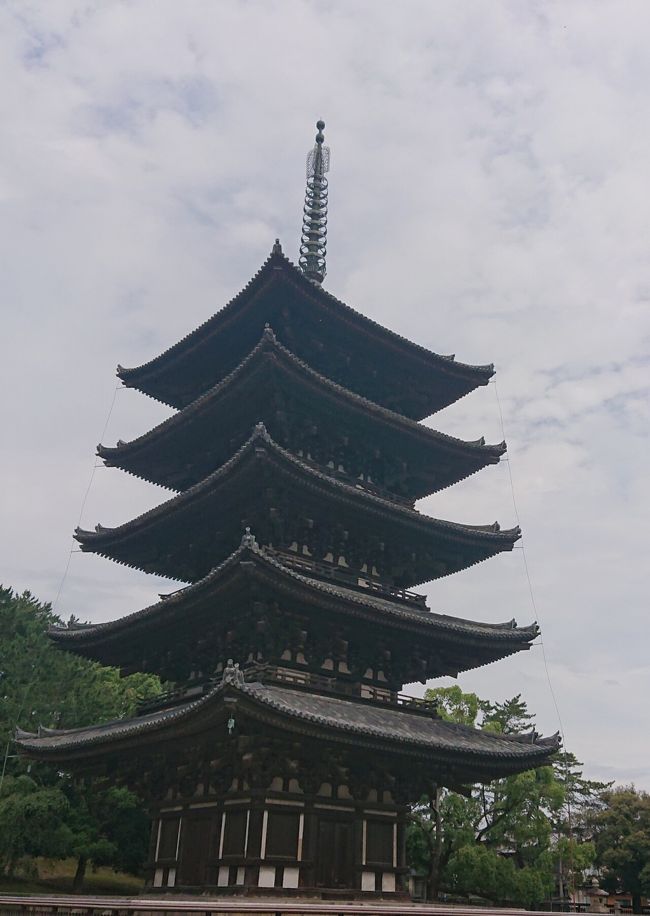 国宝、五重塔です。<br />お釈迦様の遺骨をおさめる墓標です。<br /><br />もっと他も見たかったのですが。タイムアップ。<br />また来たいです。