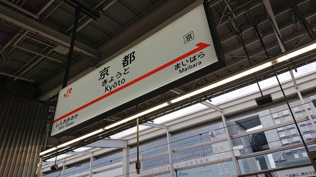 夕食とおみやげを購入して、17時8分京都駅発19時23分東京駅着の新幹線に乗ります。<br /><br />空いていました。
