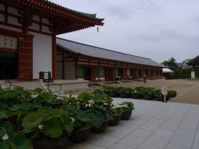 道路を挟んで白鳳伽藍へ移動。メインはこっちです。<br /><br />説法が有名とのことで聞きたかったけど途中だったし、<br />ちょうど数組の団体と鉢合わせしそうだったので急いで周ることに。<br /><br />蓮もまた有名なのですが、見頃はもうちょっと先でした。