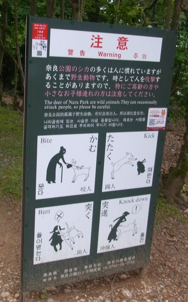 注意書きの看板がありました。<br /><br />突進は怖いww