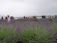 ちょっと曇りがちでしたが、たくさんの観光客がいました。
海外のお客さんも多かったです。