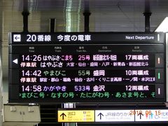 土曜は１３時まで仕事なので、上野発１４：２６のはやぶさ・こまち２５号で出発です。
