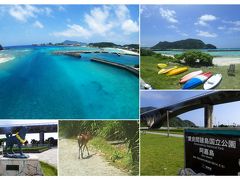 阿嘉島のスナップ
◆左上：阿嘉大橋の一番高いところから
この青さ。感動してしまいますヨ。
◆右上：前浜ビーチ
絵になるビーチです。
◆左下：座間味島の犬マリリンに3kmも海を泳いで会いにいっていた阿嘉島の無茶な犬シロの像。
古い映画ですが「マリリンに会いたい」をご覧になってみてはいかが。
◆下中央：野生のケラマ鹿
山へ向かう途中で小鹿にバッタリ遭遇。
◆右下：阿嘉大橋
島のシンボルです。
