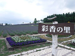 今回はラベンダーを見るのが目的です。
天気が微妙だったので青空がなく花も映えない。
3日目が天気良さげなので一番見たい富田ファームを外して、その近郊の彩香の里に寄りました。車で丘を登ったところにあります。