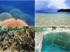 ◆阿嘉島阿嘉ビーチでのシュノーケリング（1/2）  
ここで有名な海亀は見られなかったものの、沖に出るにつれて、綺麗な珊瑚と熱帯魚がいましたヨ。