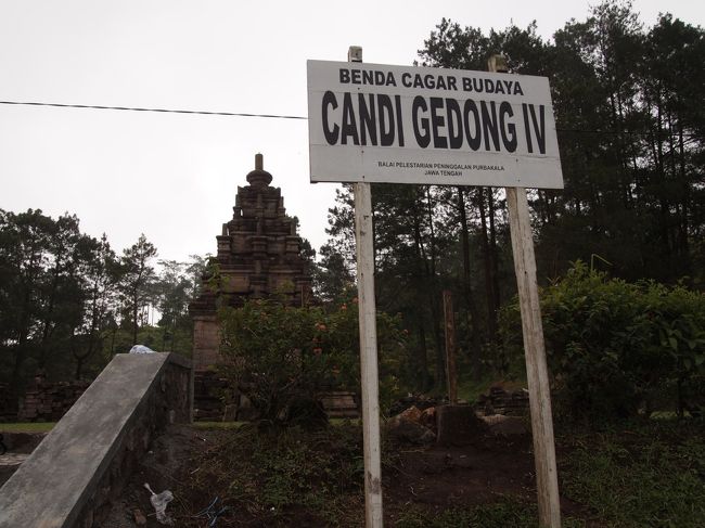 4番目の遺跡が見えます