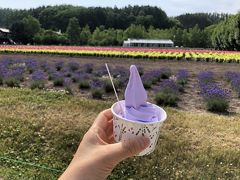 快晴のこの日はとにかく暑い！
皆さん食べてて美味しそうだったラベンダーソフトを食べました。

カップは250円、ワッフルコーンは300円でした。

香料の嫌な感じは一切なく、ほのかにラベンダーが香る美味しいソフトクリームでした。