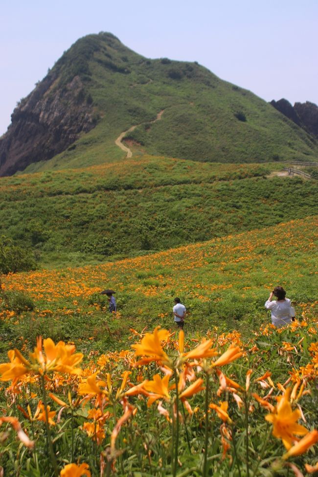 佐渡の植物（全６巻、佐渡の植物刊行会） 佐渡の植物（全6巻、佐渡の植物刊行会）