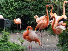 東京都恩賜上野動物園