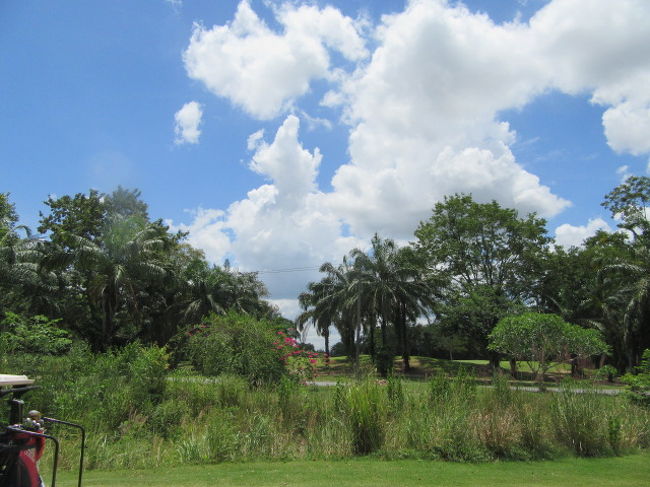 【Pattavia Century Golf Club】<br />ゴルフは晴れのプレーがスバラシイ。<br />ヤヤ風あり....プレーにはここち良い風。<br />