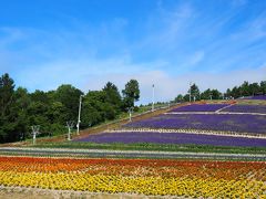 ペンションに戻る途中に中富良野町営ラベンダー園。
リフトもあります。早くて動いてませんが。
ここのラベンダーは満開は過ぎた感じ。