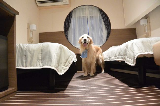 ｇレトリバーとフェリーさんふらわあ ふらのウィズペットルームで行く北海道 8日目 富良野 苫小牧西港へ 富良野 北海道 の旅行記 ブログ By Nettie19さん フォートラベル