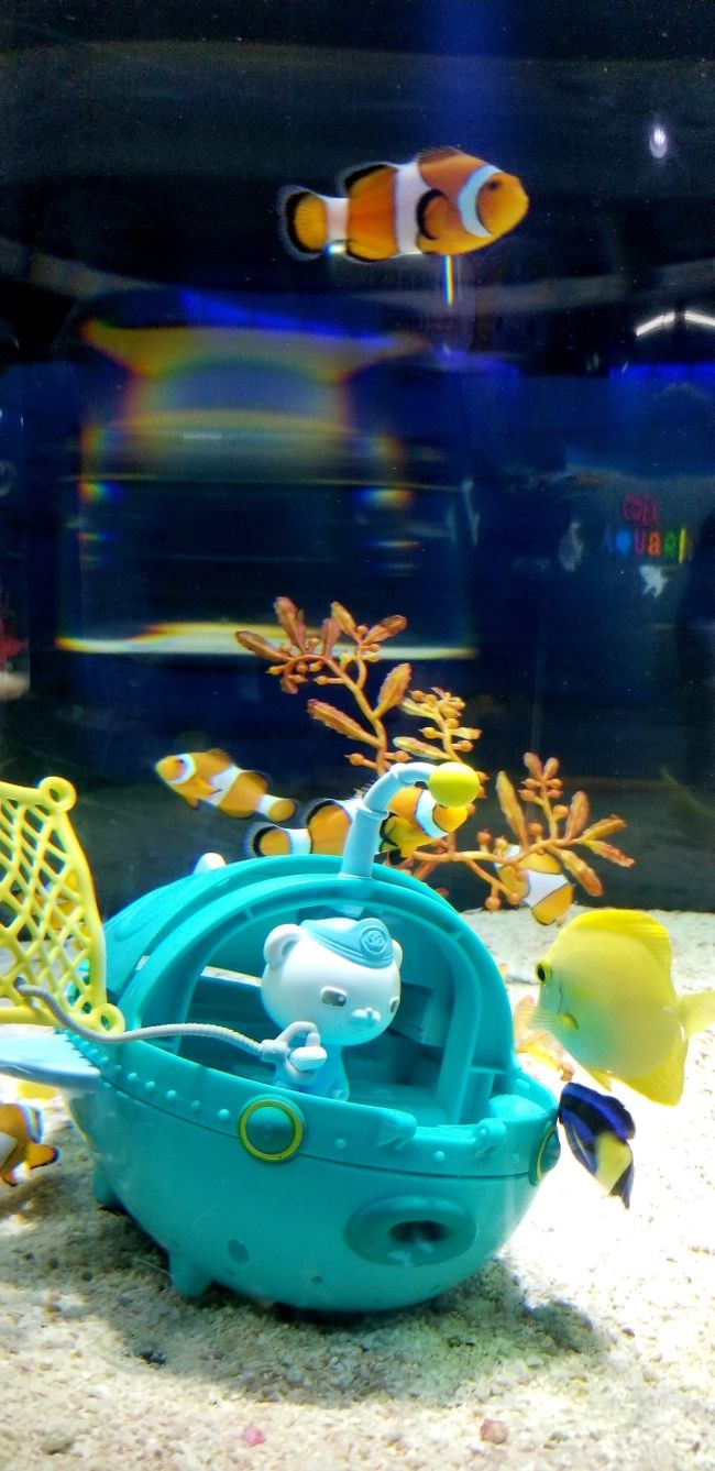 水族館に行こうシリーズ Coexアクアリウム ソウル 19 07 ソウル 韓国 の旅行記 ブログ By Jioさん フォートラベル 水族館に行こうシリーズ Coexアクアリウム ソウル 19 07 ソウル 韓国 の旅行記 ブログ By Jioさん フォートラベル