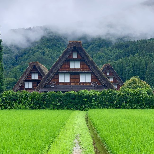2019年7月 飛騨高山旅行 ②』白川郷(岐阜県)の旅行記・ブログ by