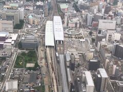 富山駅(ＪＲ西日本／あいの風とやま鉄道)
左側ホーム屋根が在来線、右側ホーム屋根が北陸新幹線
