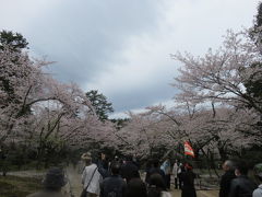 兼六園内の様子