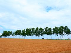 やっと撮れた！雲がもう少し少なければ、良かったのに。