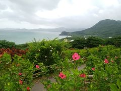 玉取崎展望台。いろんな色のハイビスカスが咲いていてほっんとに綺麗～。ここの近くに住んで毎日散歩に来たい。海にも花にも癒される。個人的にはここの景色が一番好きかな。