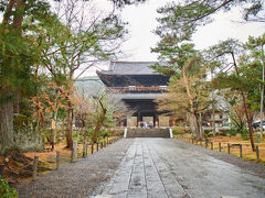 この辺りから雨が本降り。ここでは小堀遠州ゆかりの庭園などをみる。 
観光のおばちゃんから「あっちの庭園はすごいよ独り占めだよ」と言われて行ってみたら確かに独り占めだった。
が、とんでもなく寒いのでさっさと戻ってしまう。 