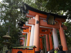 京都に着いて早速伏見稲荷へ。「外国人に一番人気！」のノボリが立っていたが、それを日本人に知らせてなんか意味あるのか？？ 
千本鳥居がなるほどすごすぎる。こりゃ外国人喜ぶわ。山一つ鳥居だらけなんだから、根津神社の１０倍はあるな。 
時間的に山登りはできないので、途中で折り返す。 
神社は参拝料が取られないし、賑やかであることが良しとされるので楽しいね。 